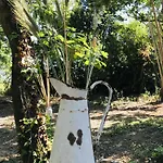 Campismo de Luxo ô Cocon Del Lauragués Ricaud (Aude)