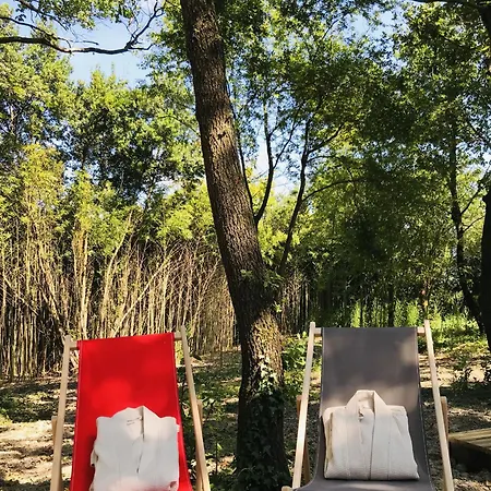 O Cocon Del Lauragues