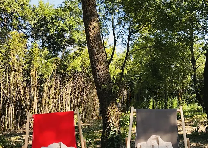 O Cocon Del Lauragues