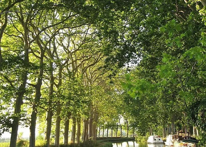 O Cocon Del Lauragues * Ricaud (Aude)