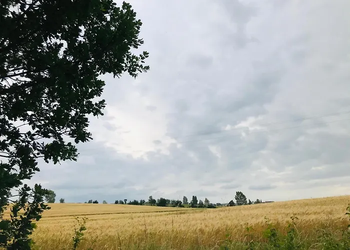 럭셔리텐트 O Cocon Del Lauragues Ricaud (Aude)