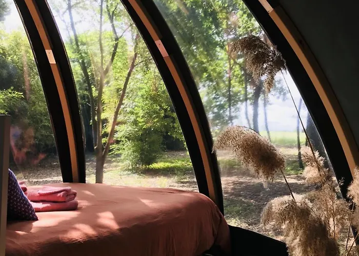 O Cocon Del Lauragues * Ricaud (Aude)