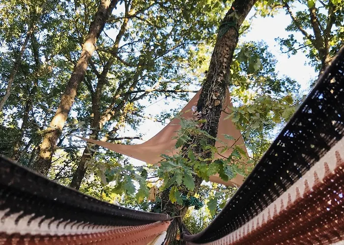 O Cocon Del Lauragues